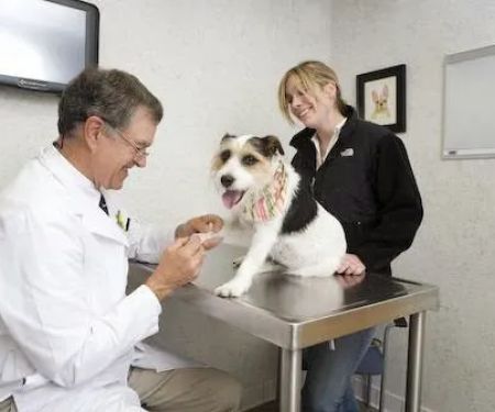 Rhinebeck Animal Hospital