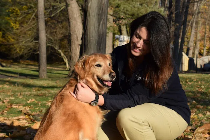 Rhinebeck Animal Hospital Picture 2