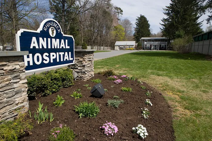 Rhinebeck Animal Hospital Picture 5