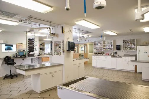 Rhinebeck Animal Hospital Picture 4