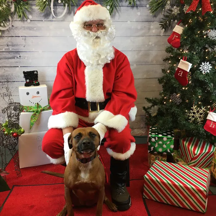 Rhinebeck Animal Hospital Picture 8