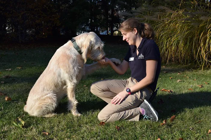 Rhinebeck Animal Hospital Picture 10