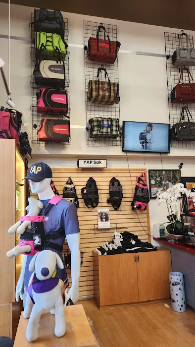YAP Stores Picture 8