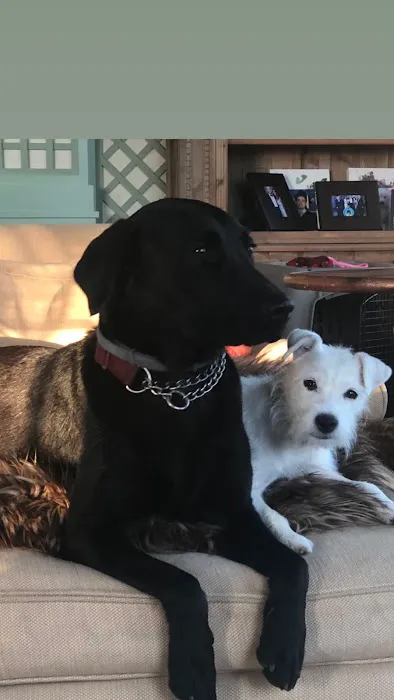 Country Comfort Animal Hospital Picture 8