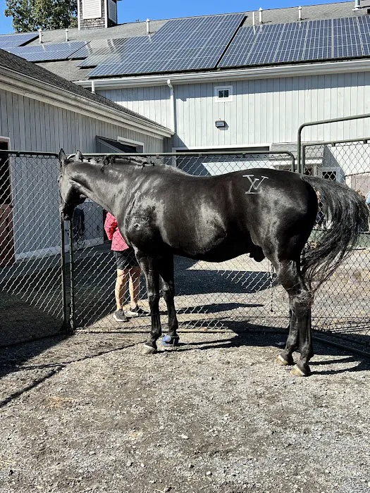 Rhinebeck Equine, LLP Picture 9