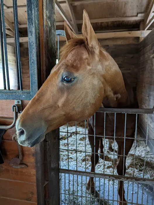 Rhinebeck Equine, LLP Picture 6
