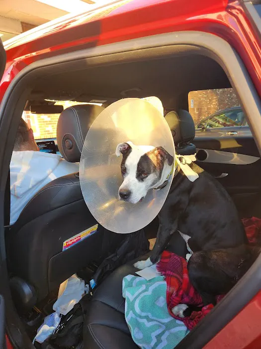 Saugerties Animal Hospital Picture 8