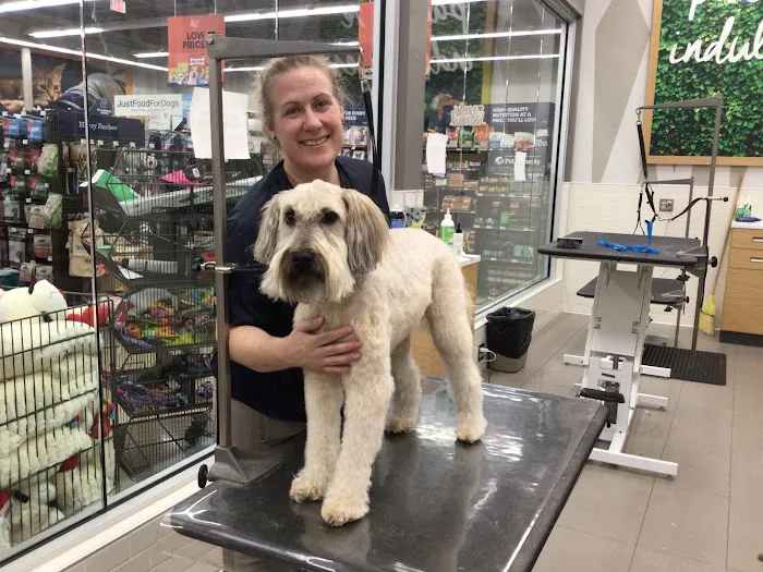 Petco Picture 3