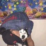 Petco