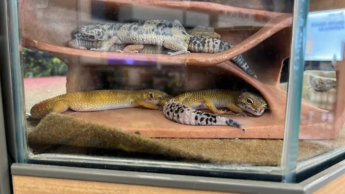 Petco Picture 6