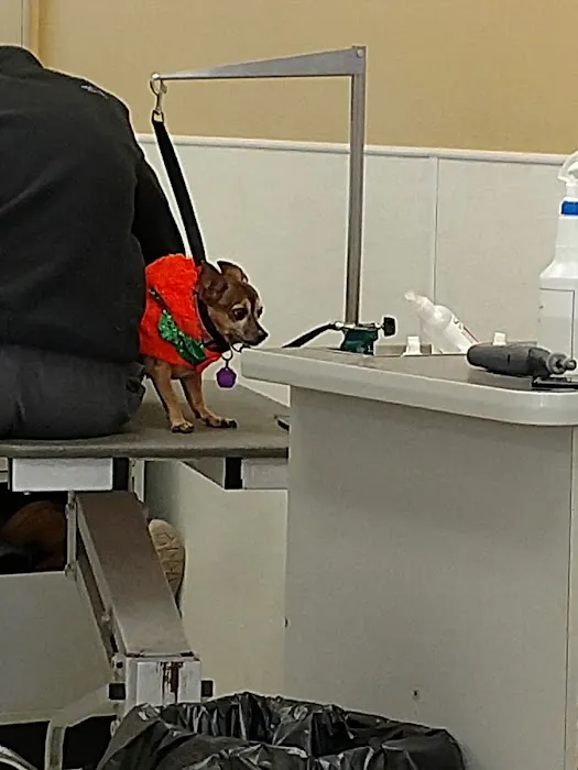 Petco Picture 7