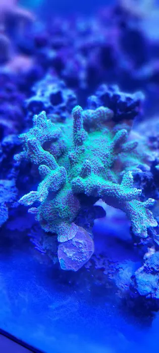 Modern Aquatix Picture 1