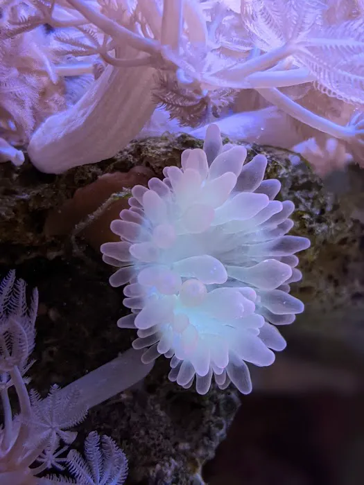 Modern Aquatix Picture 2