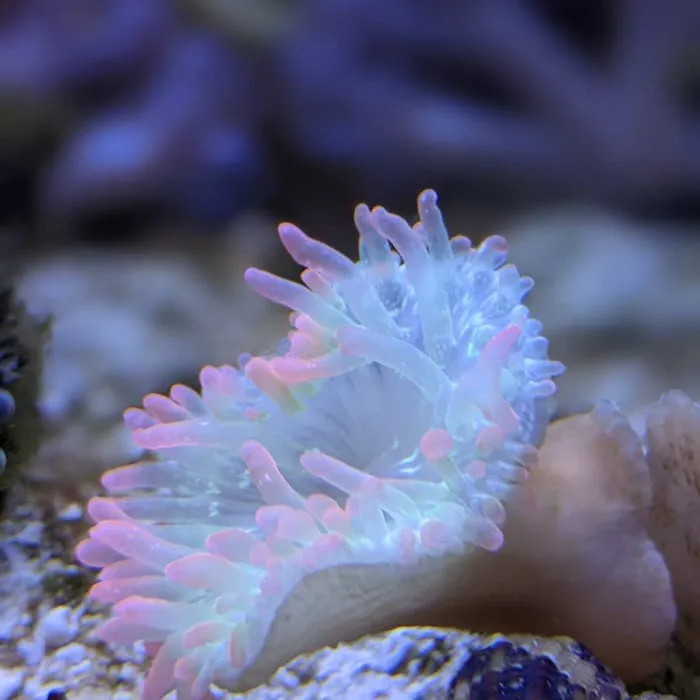 Modern Aquatix Picture 4