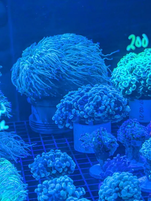 Modern Aquatix Picture 9