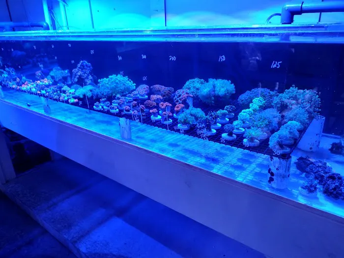 Modern Aquatix Picture 7