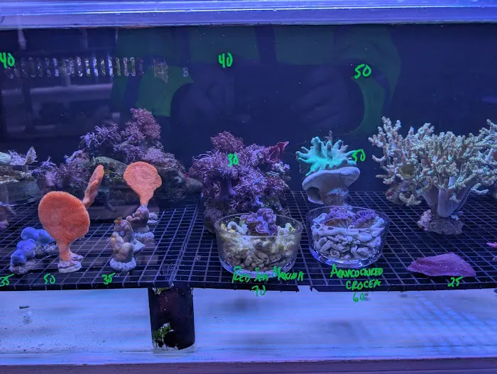 Modern Aquatix Picture 10