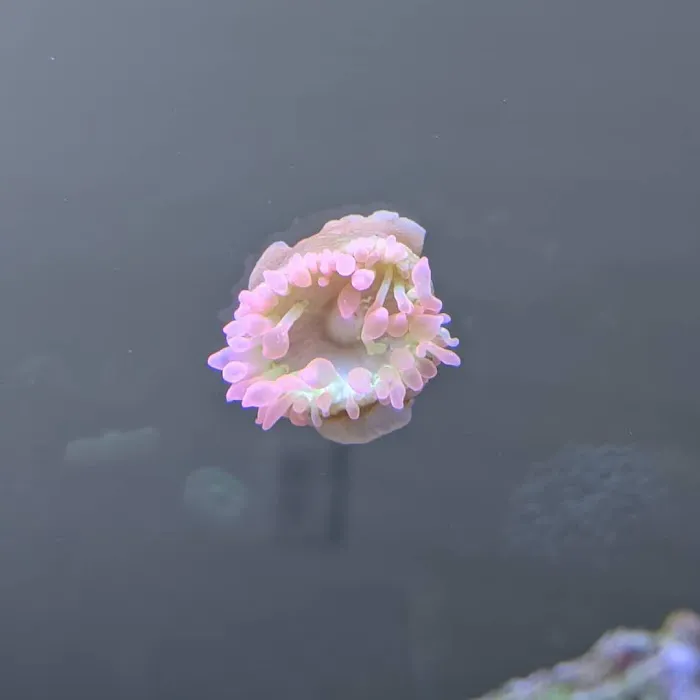Modern Aquatix Picture 3