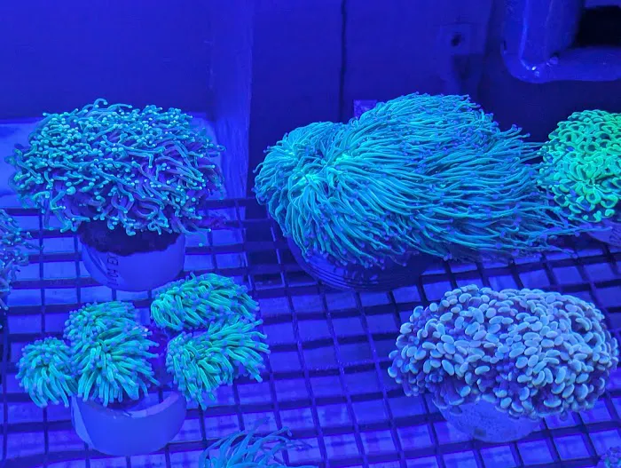 Modern Aquatix Picture 8