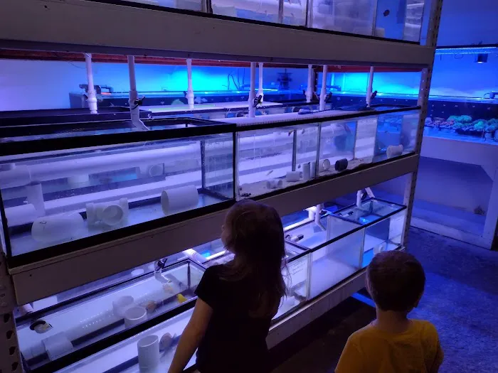 Modern Aquatix Picture 6