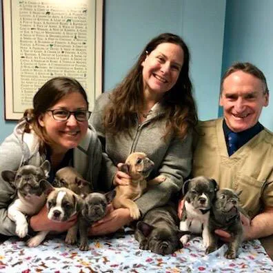 LaGrange Veterinary Hospital Picture 4