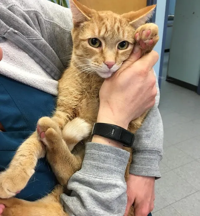 LaGrange Veterinary Hospital Picture 8