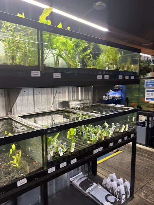 The Reef Aquarium Shop Picture 2