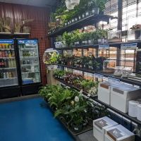 The Reef Aquarium Shop ico