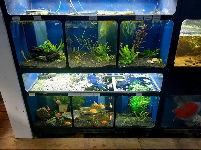 The Reef Aquarium Shop Picture 8