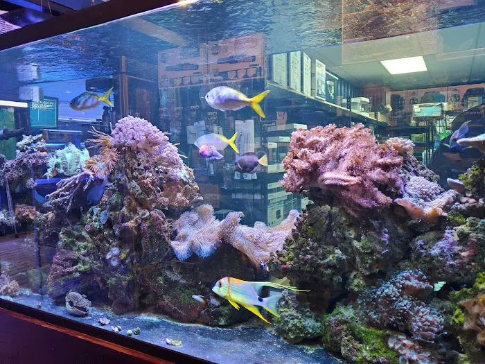 The Reef Aquarium Shop Picture 7