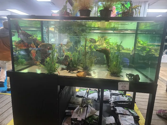The Reef Aquarium Shop Picture 6