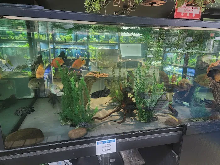 The Reef Aquarium Shop Picture 5