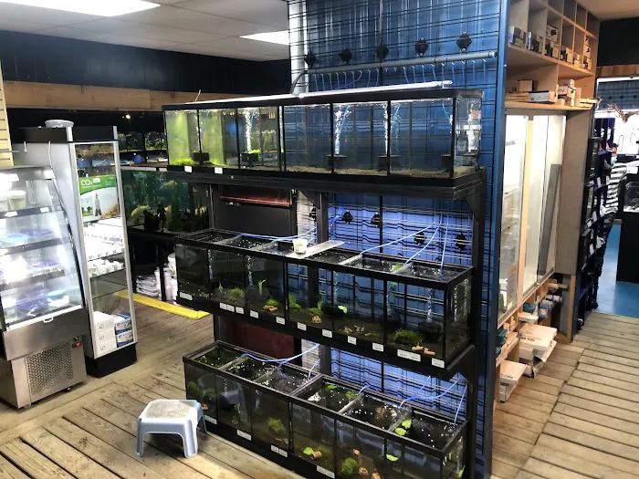 The Reef Aquarium Shop Picture 4