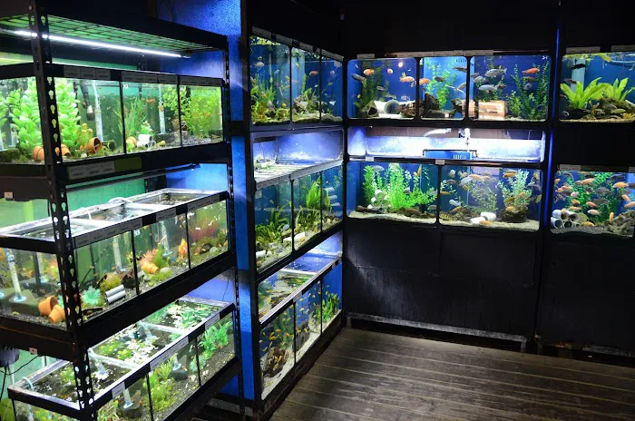 The Reef Aquarium Shop Picture 10