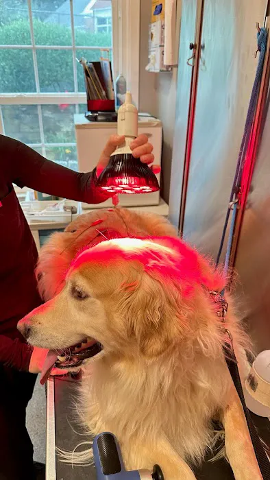 Progressive Animal Hospital Picture 5