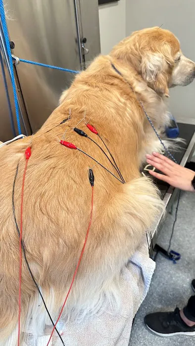 Progressive Animal Hospital Picture 7