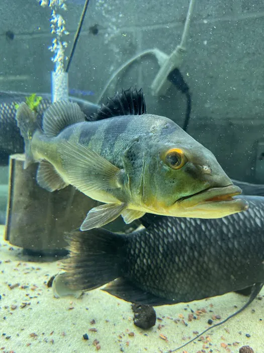 Fish Happens Picture 1