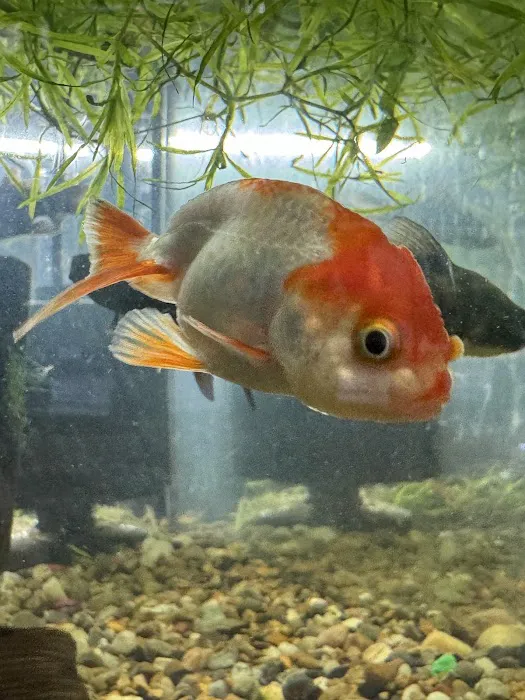 Fish Happens Picture 5