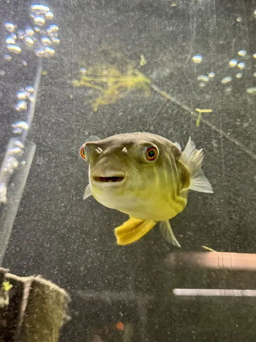 Fish Happens Picture 8