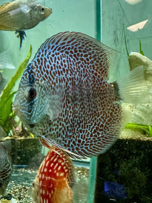 Fish Happens Picture 2