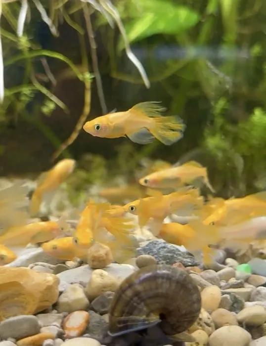 Fish Happens Picture 7