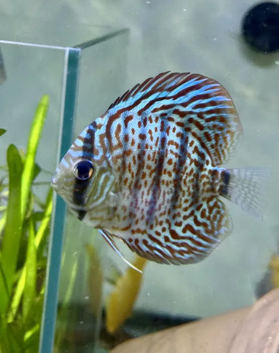 Fish Happens Picture 10