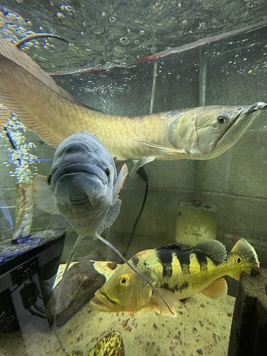 Fish Happens Picture 6