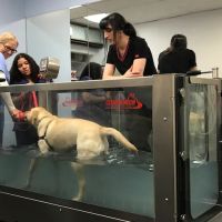 Somers Animal Hospital ico