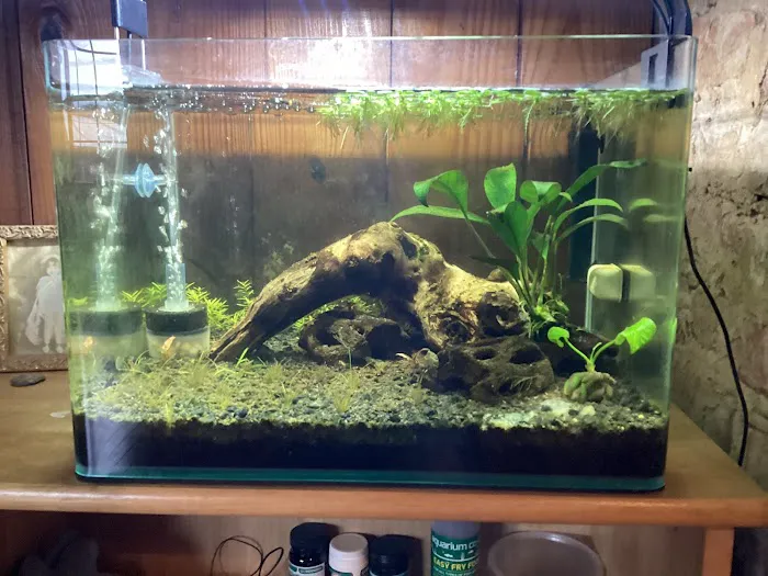 Aquatic Arts Picture 4