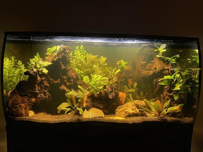 Aquatic Arts Picture 3