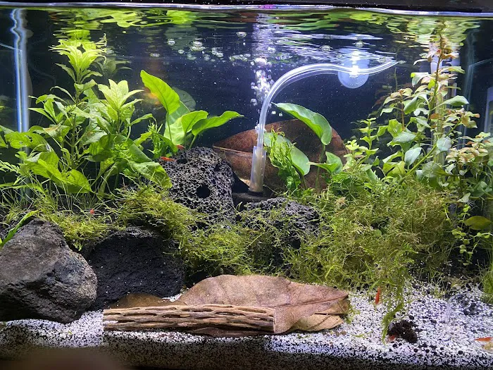 Aquatic Arts Picture 6