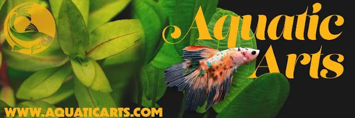 Aquatic Arts Picture 2