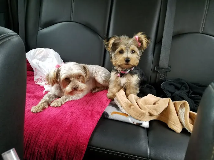 Petco Picture 4