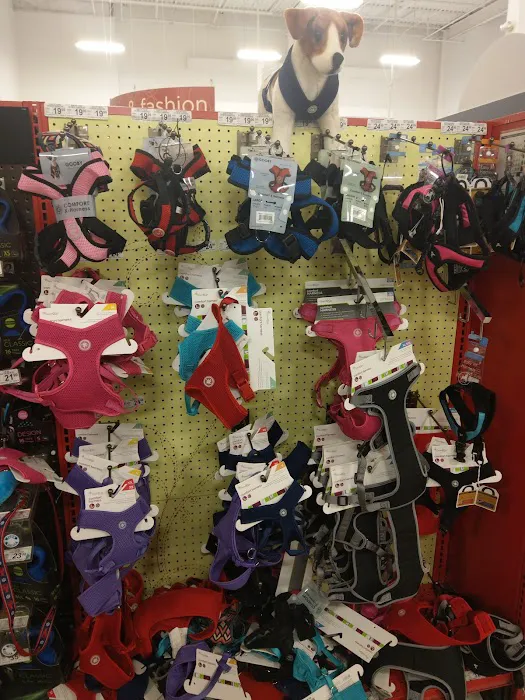 Petco Picture 5